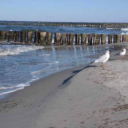 Apartment 1kleine Ostseeheilbad Zingst